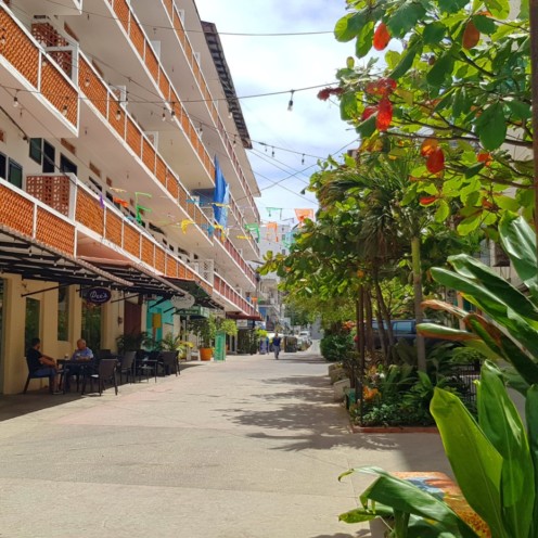 Puerto Vallarta Francisca Rodriguez Pier